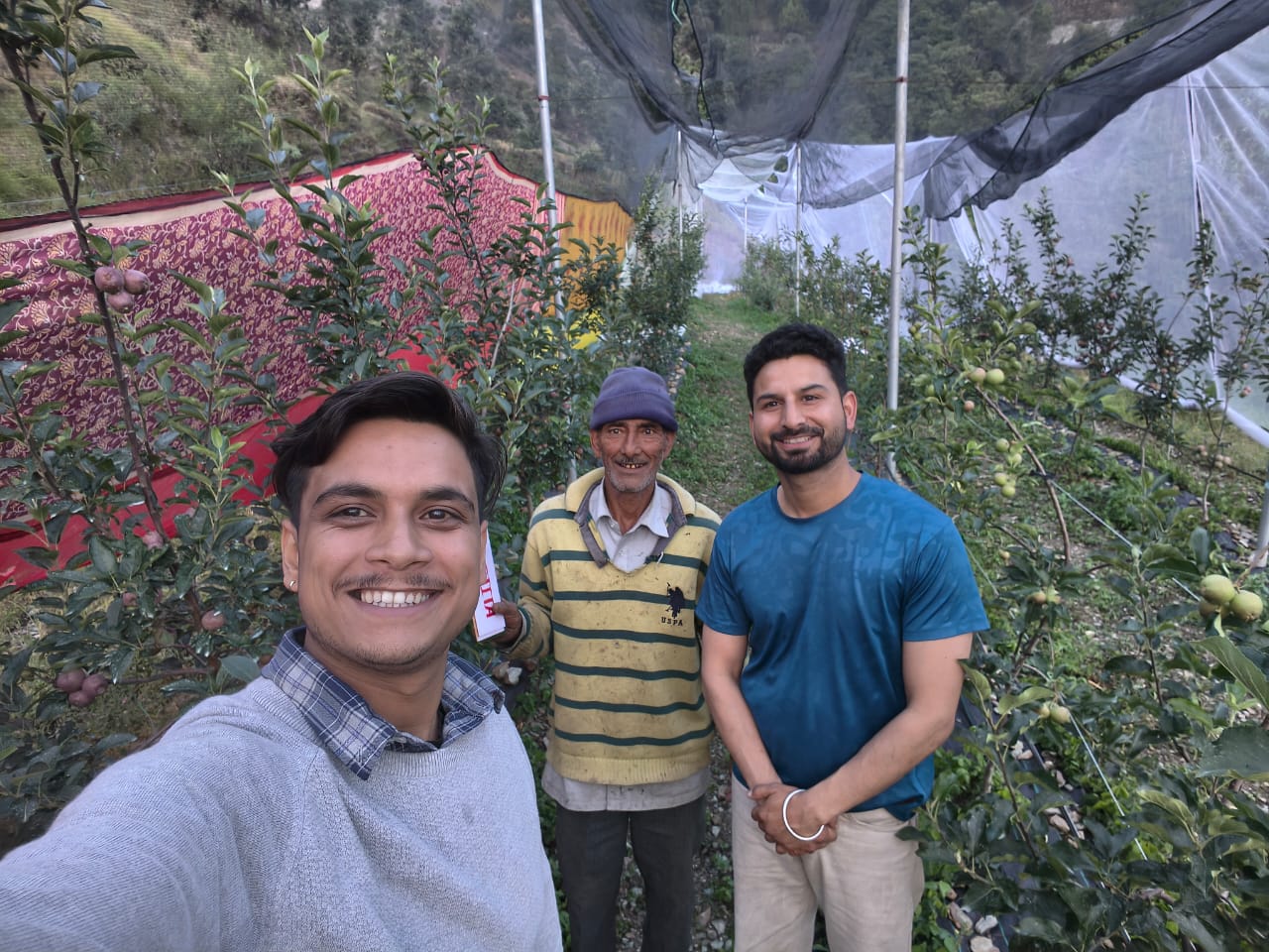Adopt A Tree Campaign