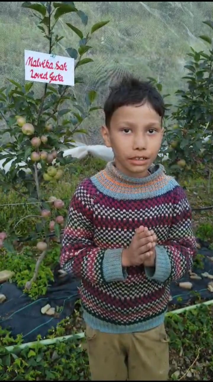 Adopt A Tree Campaign