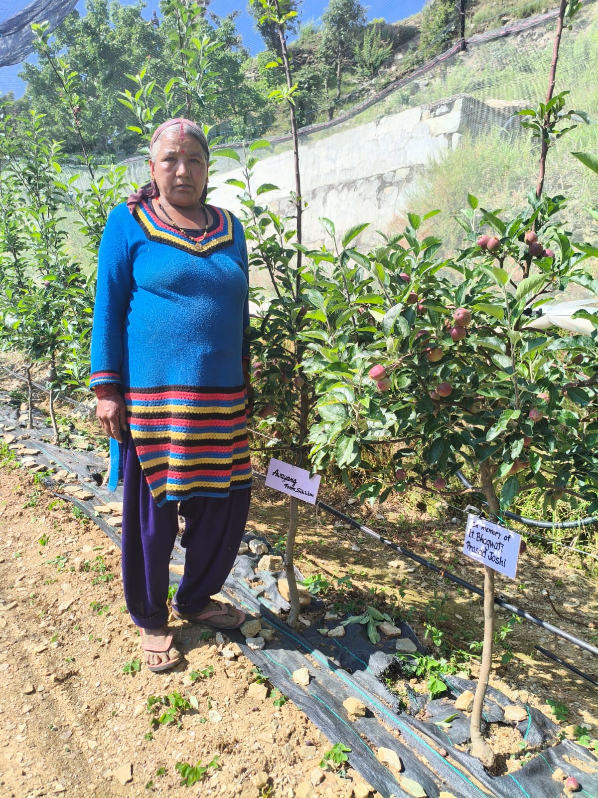Adopt A Tree Campaign