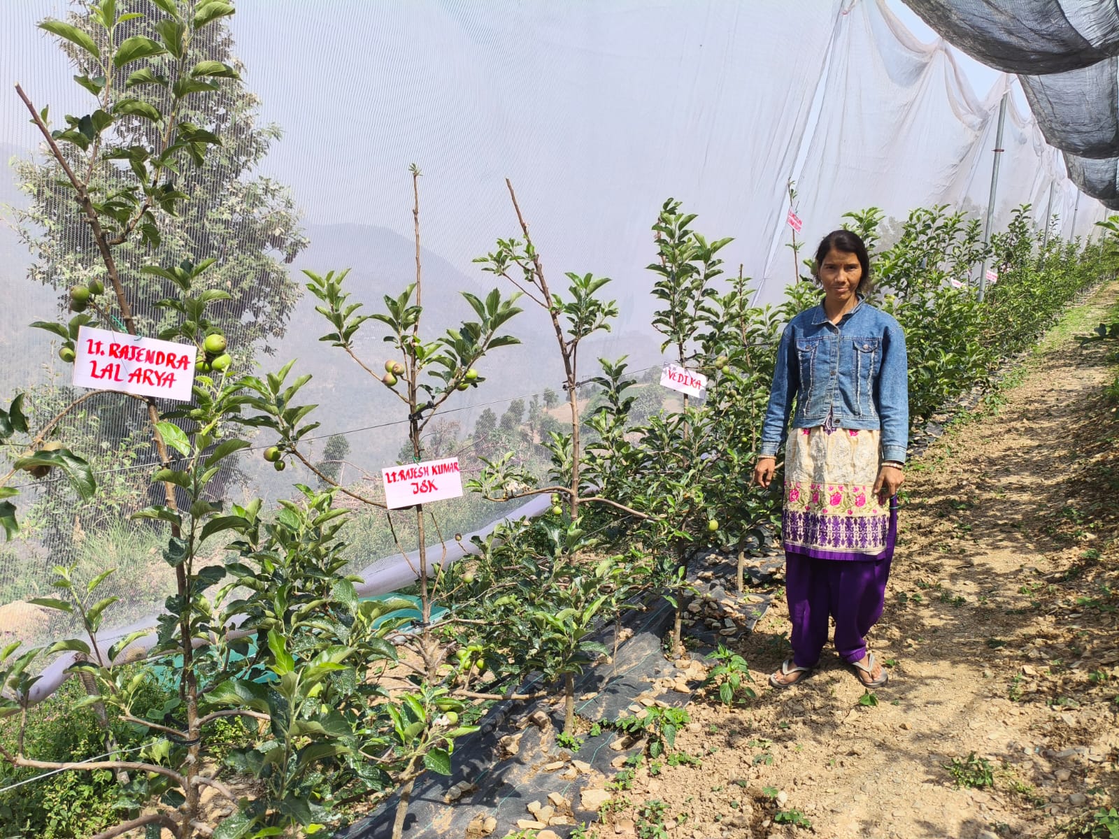 Adopt A Tree Campaign