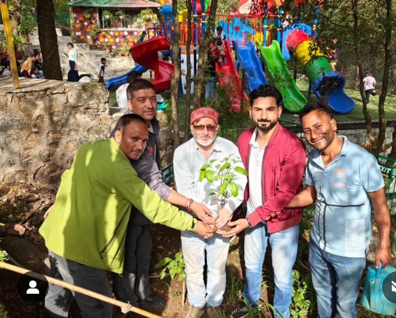 Tree Plantation Drive